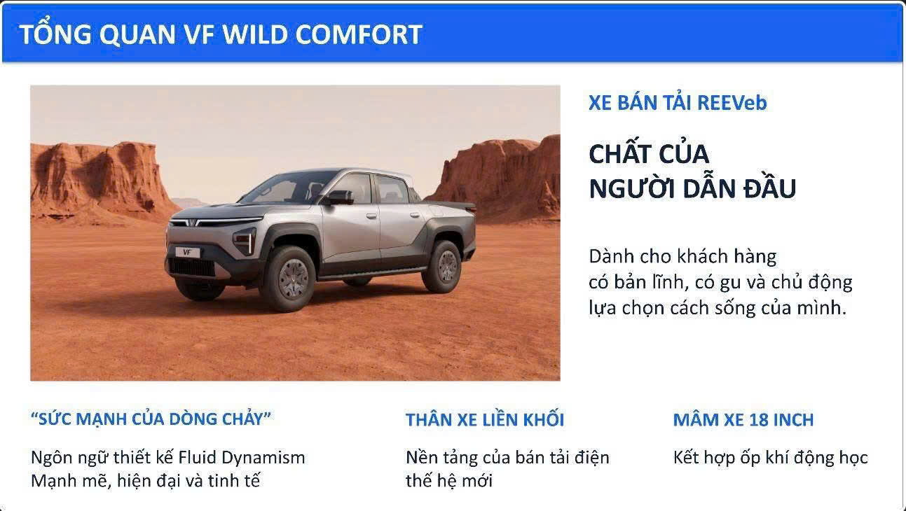 VF Wild 62
